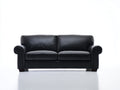 Sofá de 2 plazas tapizado 180 x 90 x 85 cm - negro - respaldo acolchado y reposabrazos redondeados estilo clásico